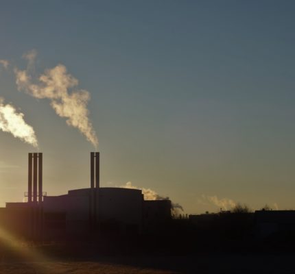 Neue Förderrichtlinie im Programm „Industrielle Bioökonomie“ des BMWK