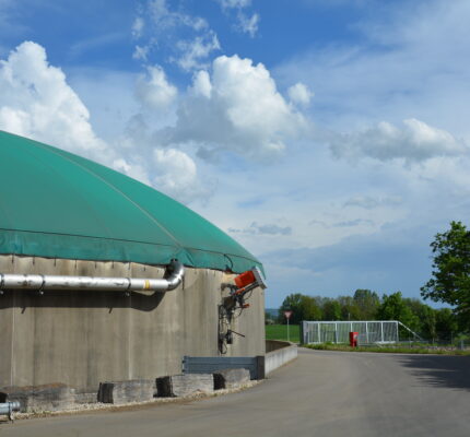 C.A.R.M.E.N.-Check: Biogas
